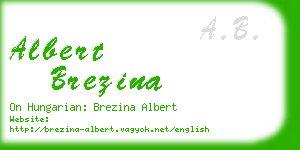 albert brezina business card